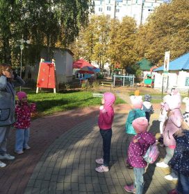 IMG-5cc8c8af4efb811fa0aaa49025a51928-V