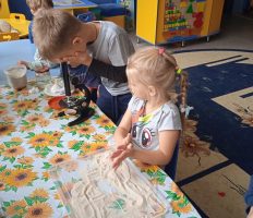 IMG_20210922_101335_1