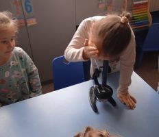 IMG_20210922_101512_1