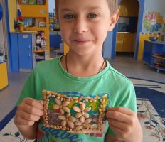 IMG_20210924_102811_1