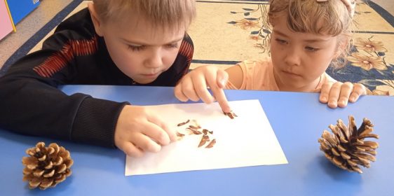 IMG_20220323_171147_1