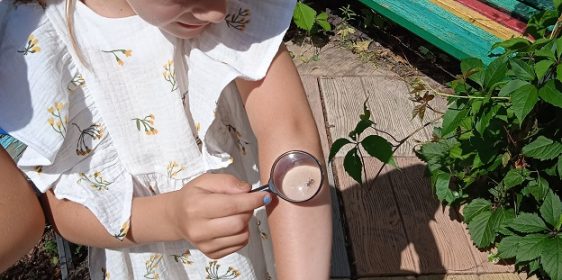 IMG_20220705_100019_1