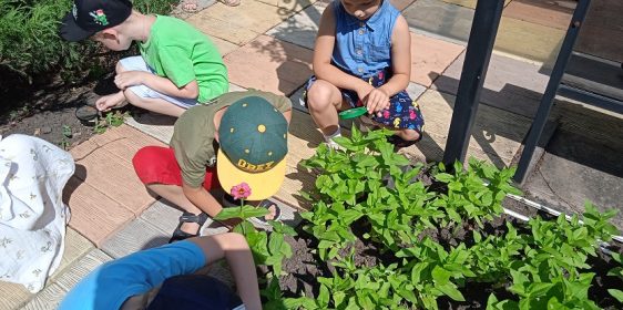 IMG_20220705_100156_1