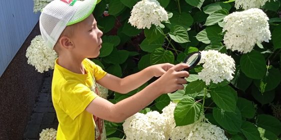 IMG_20220705_100352_1